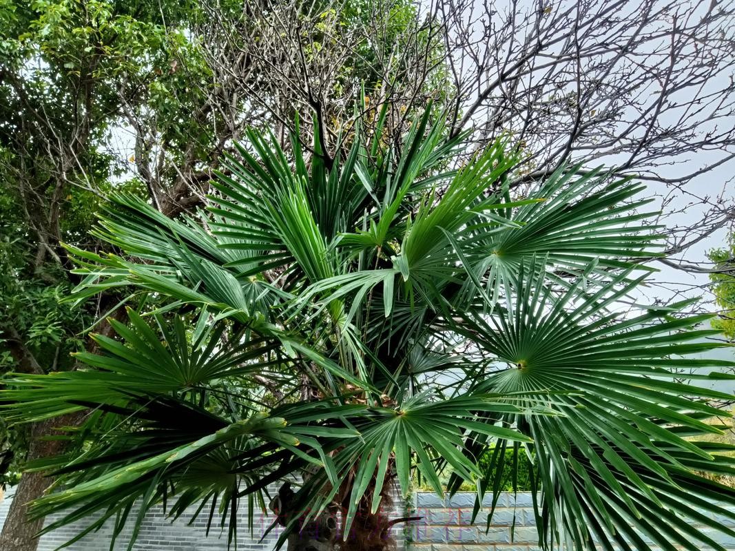 维杜:不够专注致丢球 对方的长传球具威胁 维杜:不够专注致丢球 对方的长传球具威胁